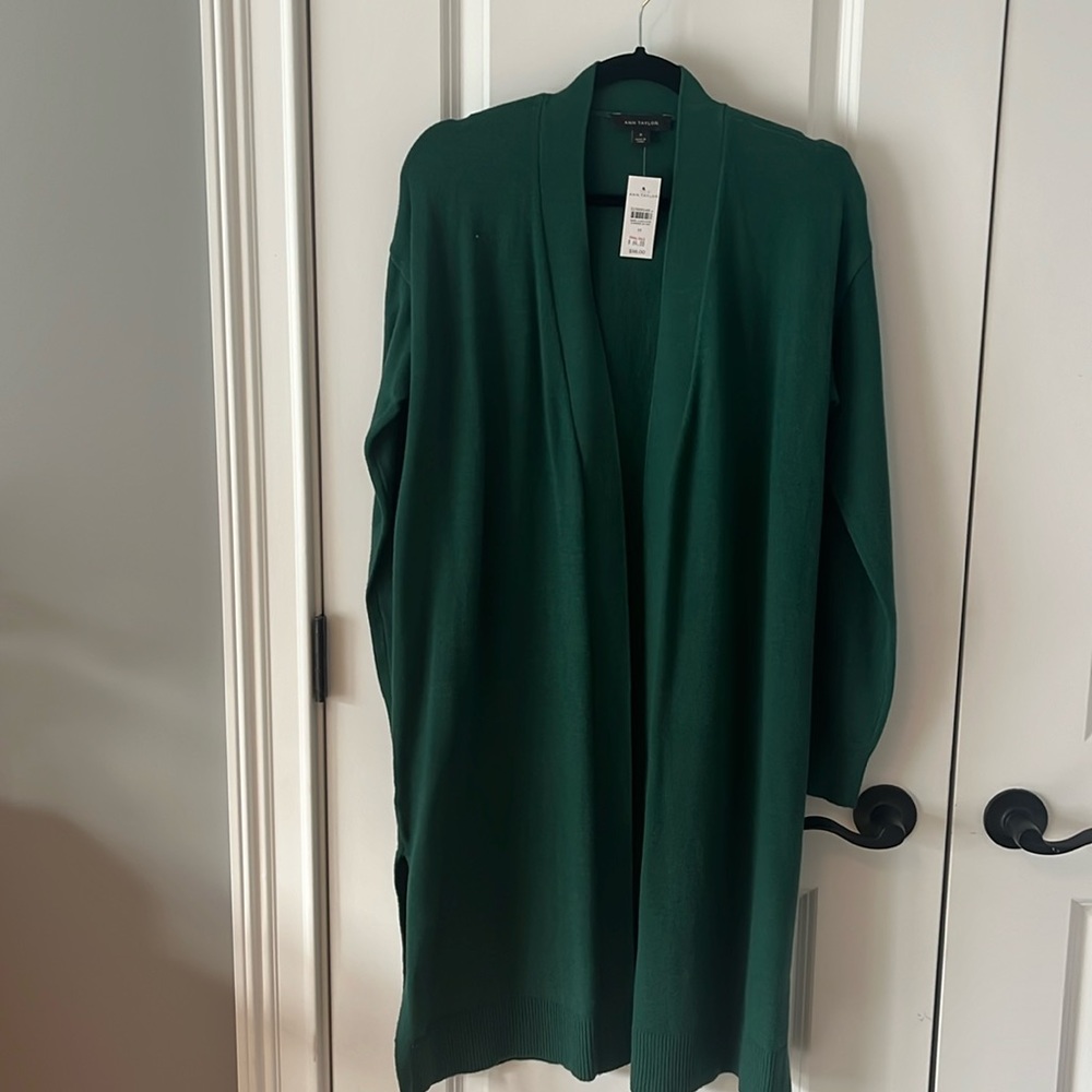 Never worn Ann Taylor green Sweater